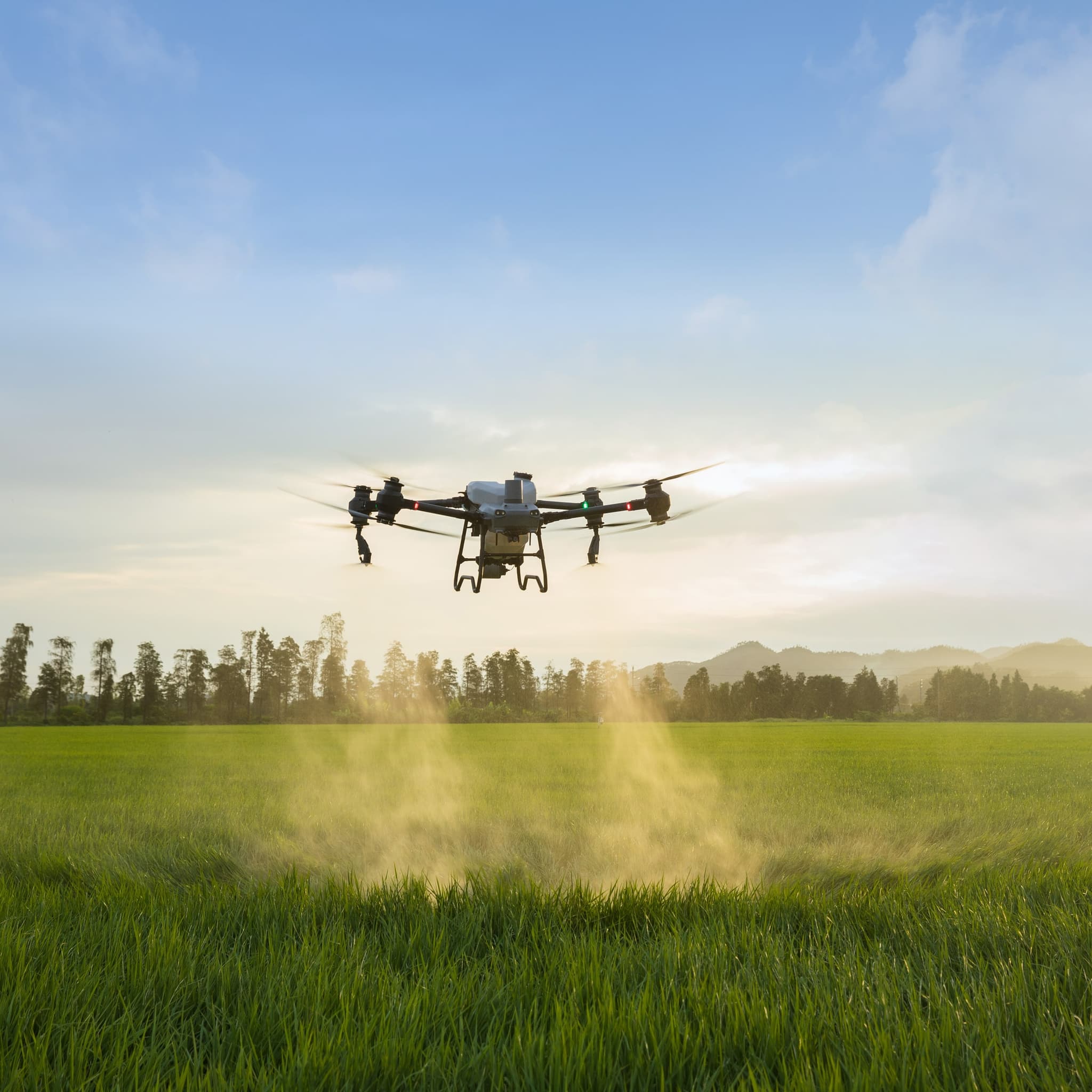 A DJI Agras T50 laying a pass low over a green paddock under a blue sky